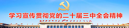 學習宣傳貫徹黨的二十屆三中全會精神
